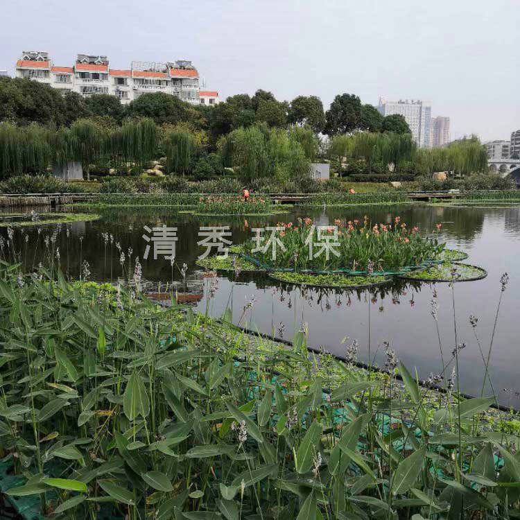 11湖南岳陽(yáng)王家河
